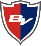 BrainVault